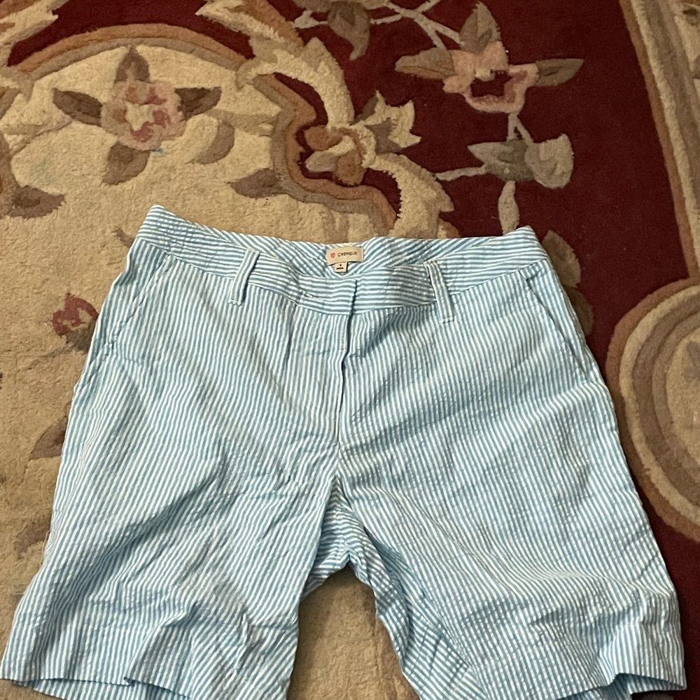Daniel Cremieux Blue and White Flat Front Shorts
